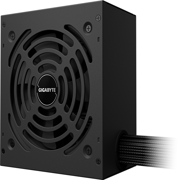 Gigabyte Power supply 650 Watt AC 110/240 V 650W
