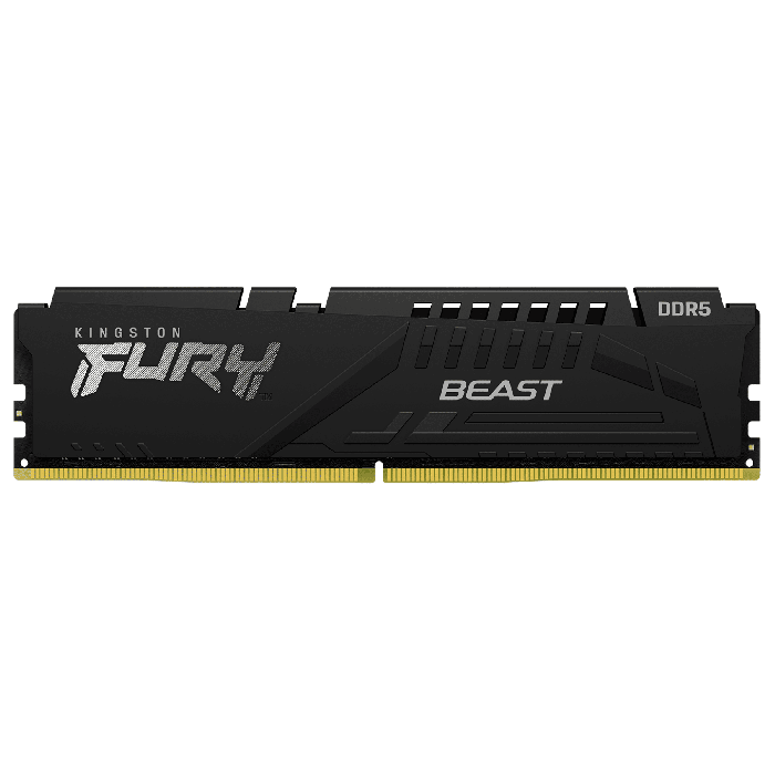 Kingston FURY Beast DDR5 módulo 16 GB DIMM de 288