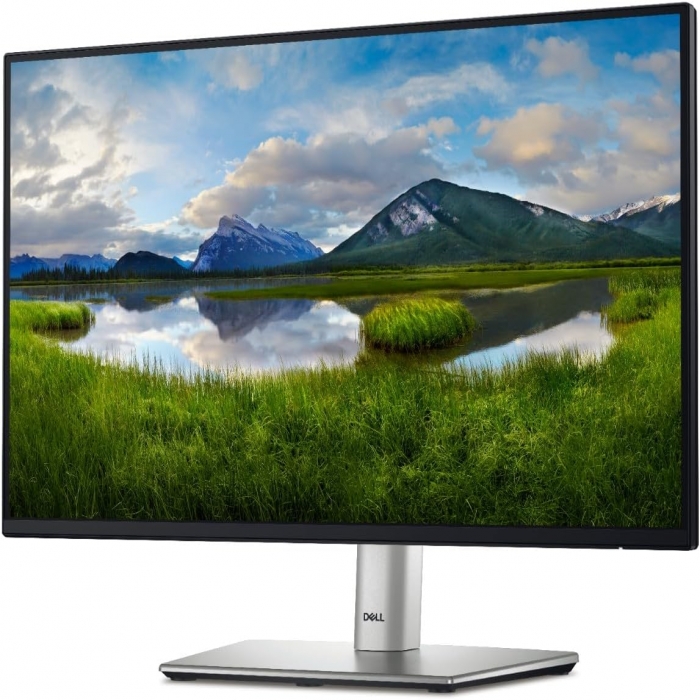 Dell P2425H LED-backlit LCD monitor 23.8" 1920 x 1080 IPS