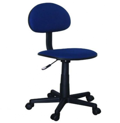 Computer Chair (Blue)