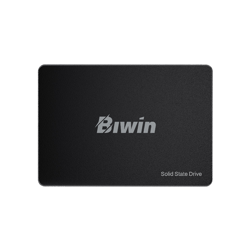 SSD Biwin Technology Mainstream M100 256Gb Sataiii 2.5 520Mbs BM100NN256G-RGX