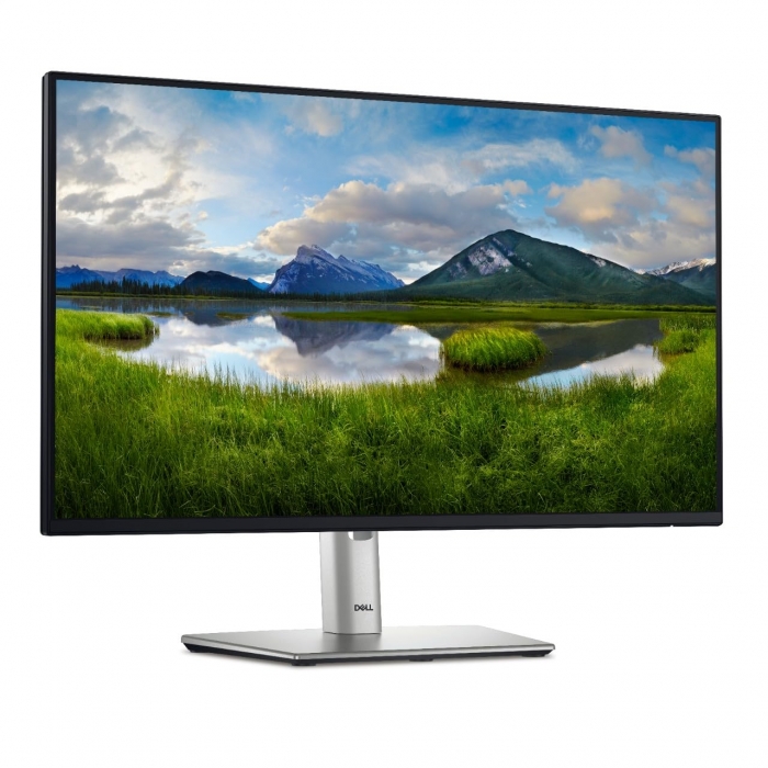 Dell LED-backlit LCD monitor 23.8" 1920 x 1080 P2425HE